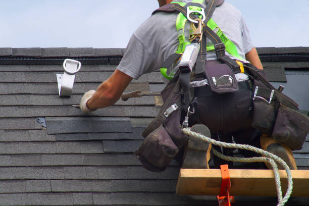 Best Shingle Roofing Installation  in New Johnsonville, TN