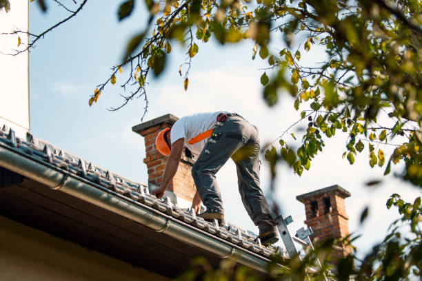 Best Roof Replacement Cost  in New Johnsonville, TN