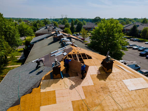 Best Roof Gutter Cleaning  in New Johnsonville, TN