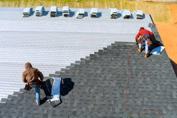 Best Gutter Installation and Roofing  in New Johnsonville, TN