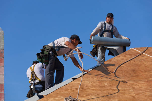 Best Roof Restoration Services  in New Johnsonville, TN