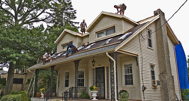 Best Roof Repair Services  in New Johnsonville, TN
