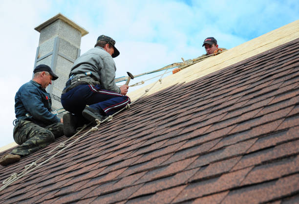 Best Tile Roofing Contractor  in New Johnsonville, TN