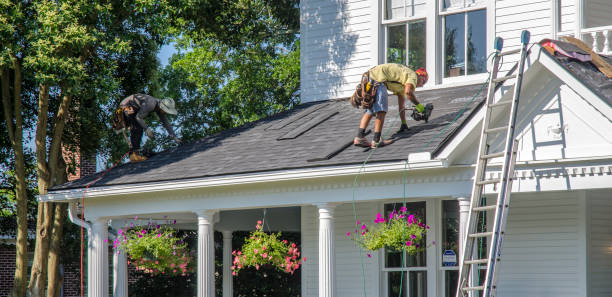 Roof Gutter Cleaning in New Johnsonville, TN