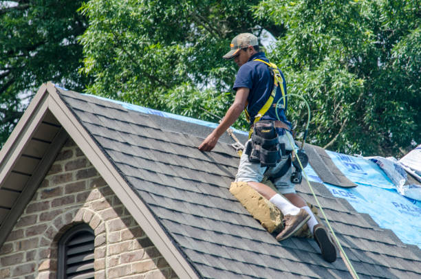 Best Metal Roofing Contractor  in New Johnsonville, TN
